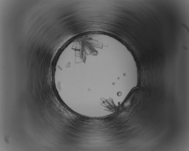 X0000103311076200809261331