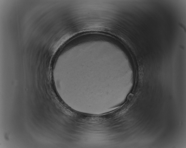 X0000103311077200809261331