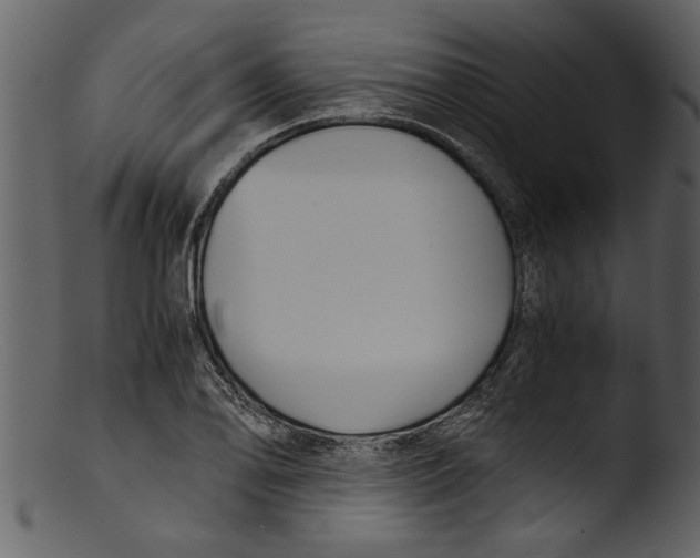 X0000103311078200809261331