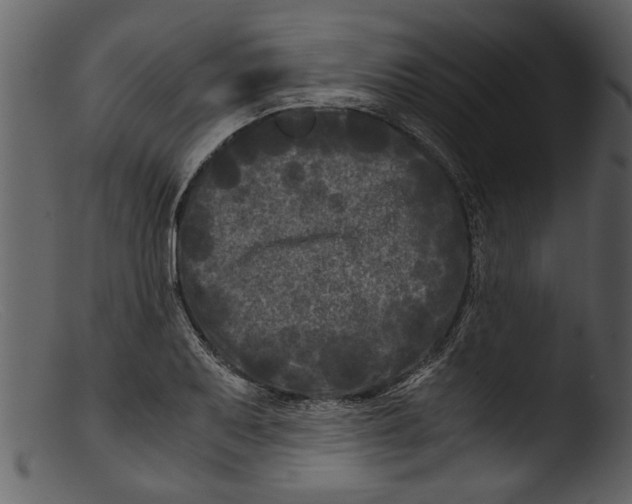 X0000103311079200809261331