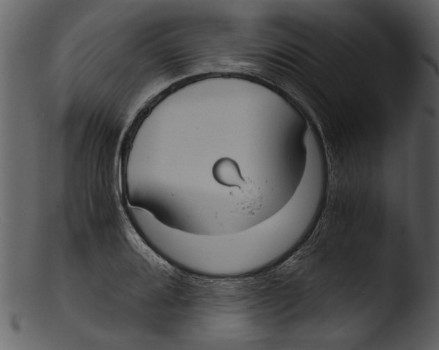 X0000103311080200809261331