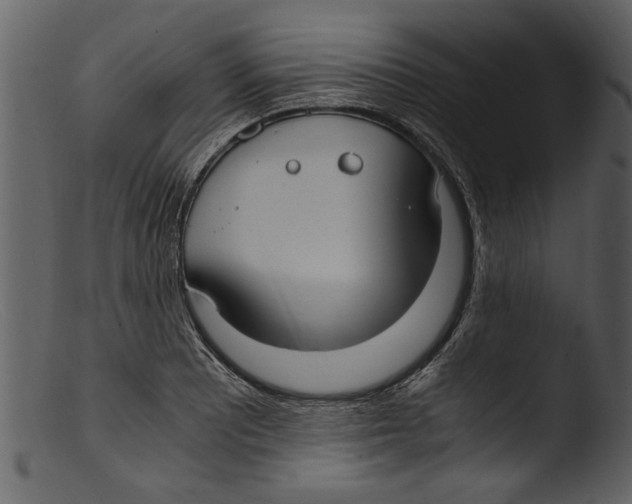 X0000103311081200809261331