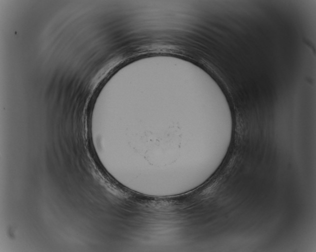 X0000103311082200809261331