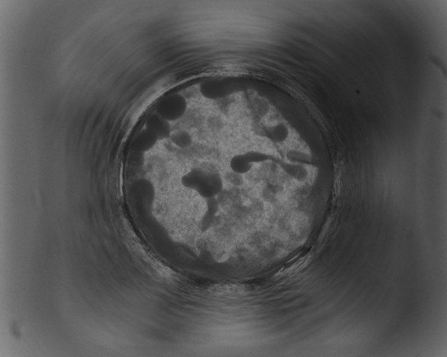 X0000103311083200809261331