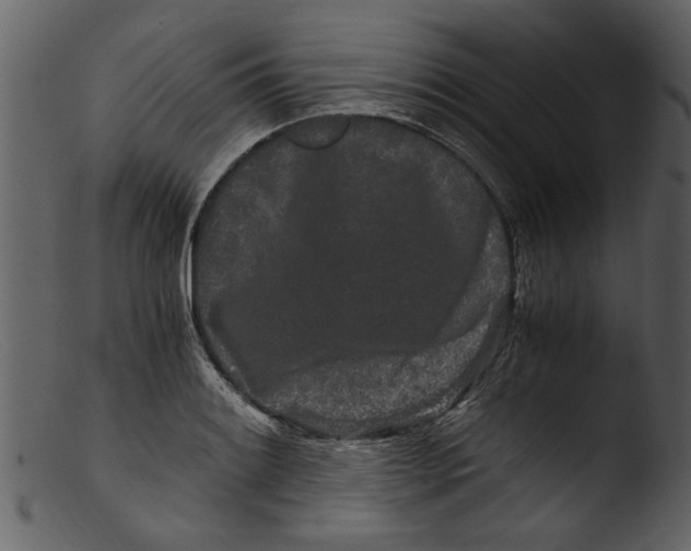 X0000103311084200809261331