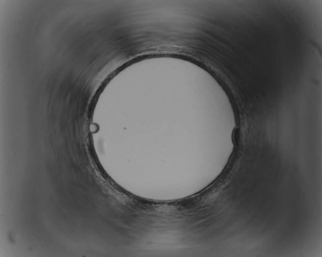 X0000103311085200809261331