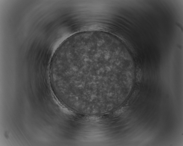 X0000103311086200809261331