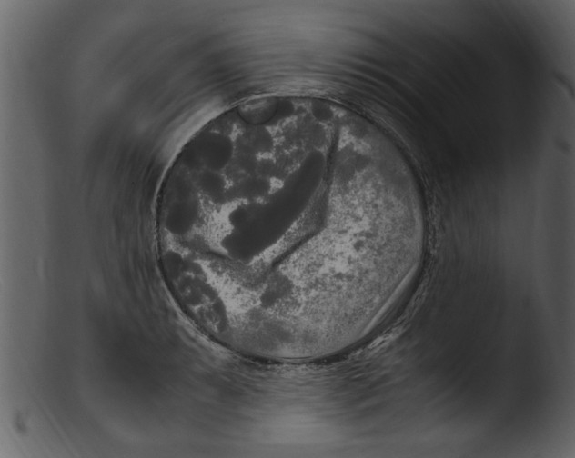 X0000103311087200809261331