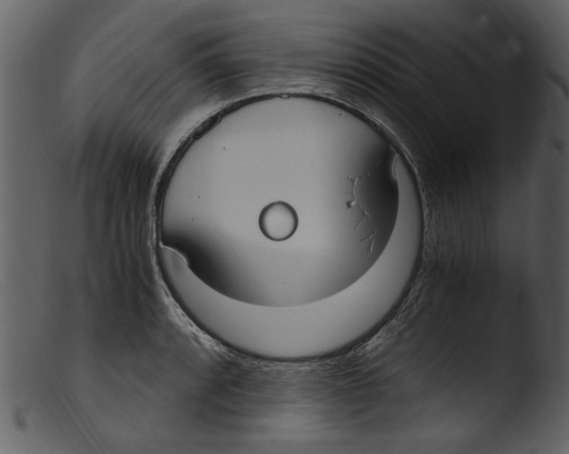 X0000103311088200809261331