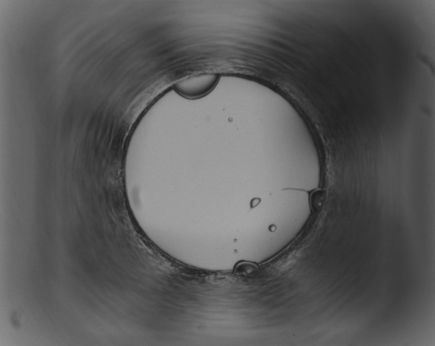 X0000103311089200809261331