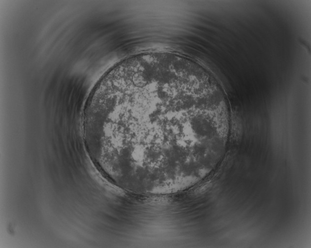 X0000103311090200809261331