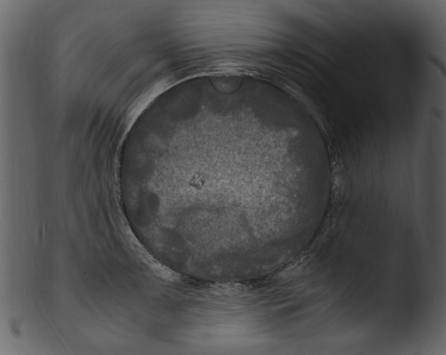 X0000103311091200809261331