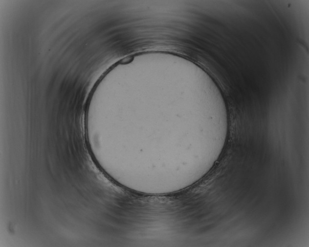 X0000103311092200809261331