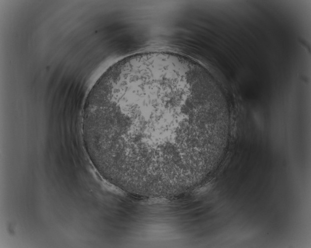 X0000103311094200809261331