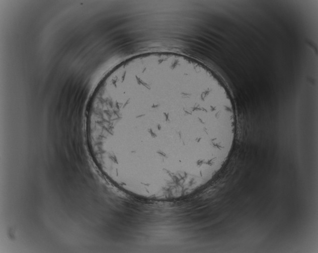 X0000103311096200809261331