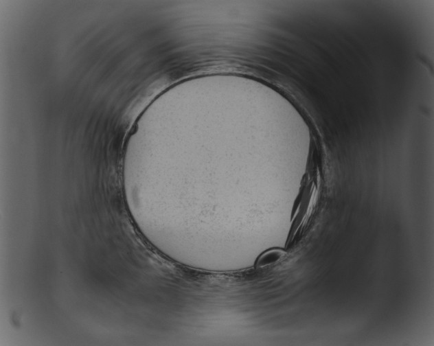 X0000103311097200809261331