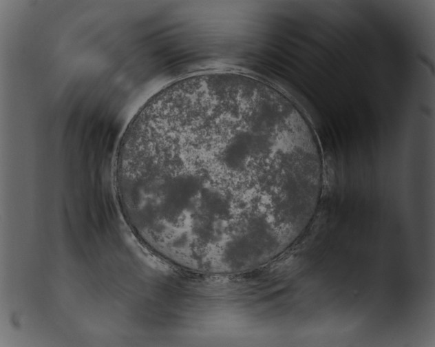 X0000103311098200809261331