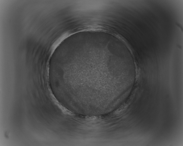 X0000103311099200809261331