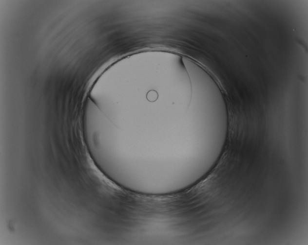 X0000103311100200809261331