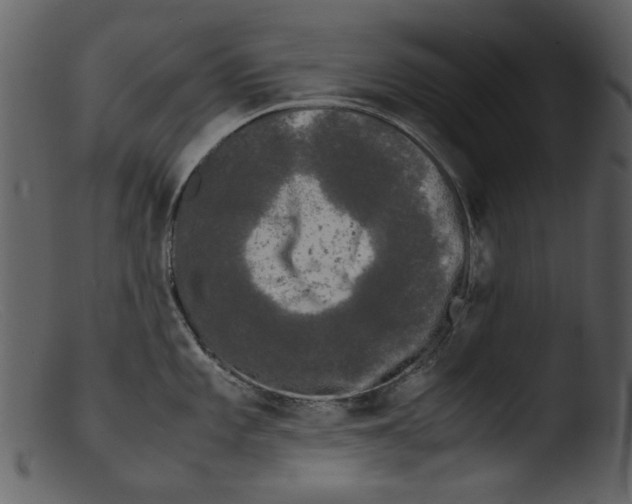 X0000103311101200809261331