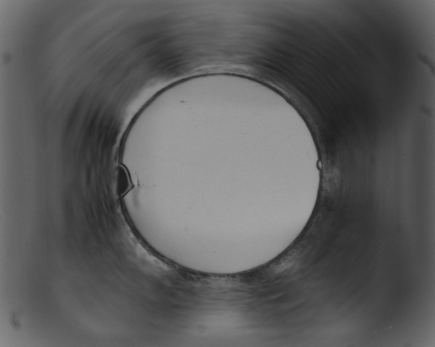 X0000103311102200809261331