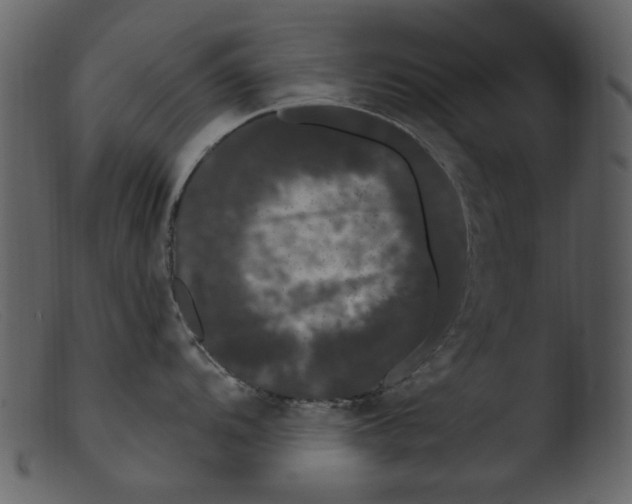 X0000103311104200809261331