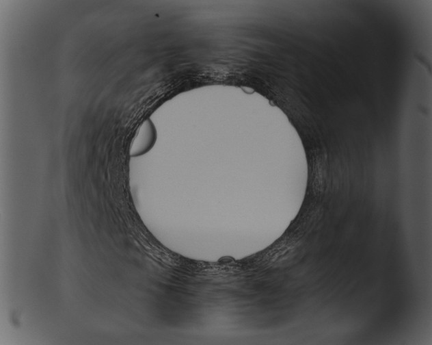 X0000103311105200809261330