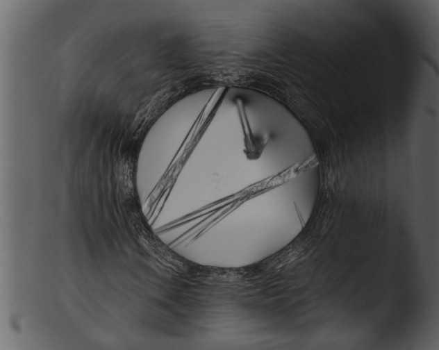 X0000103311106200809261330