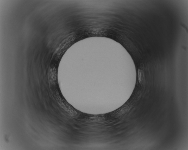 X0000103311107200809261330