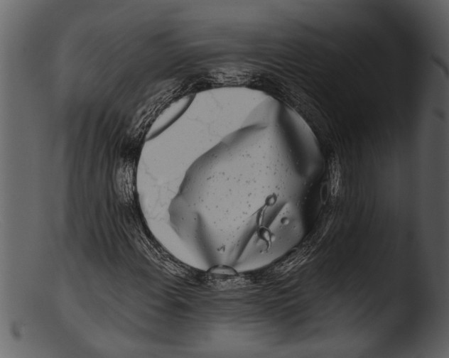 X0000103311108200809261330