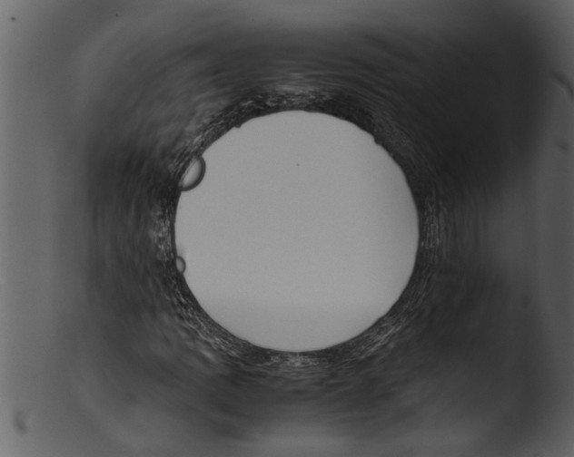 X0000103311109200809261330