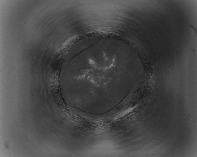 X0000103311110200809261330