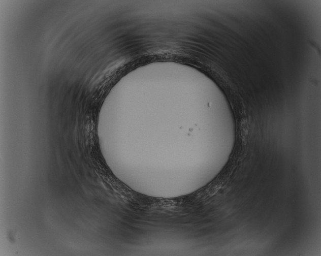 X0000103311111200809261330