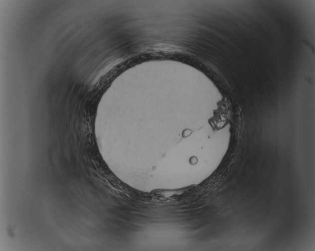 X0000103311112200809261330