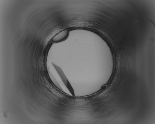 X0000103311114200809261330
