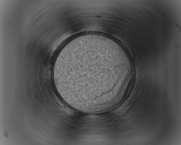 X0000103311115200809261330