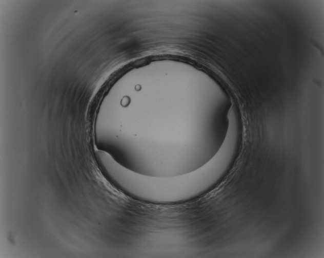 X0000103311116200809261330