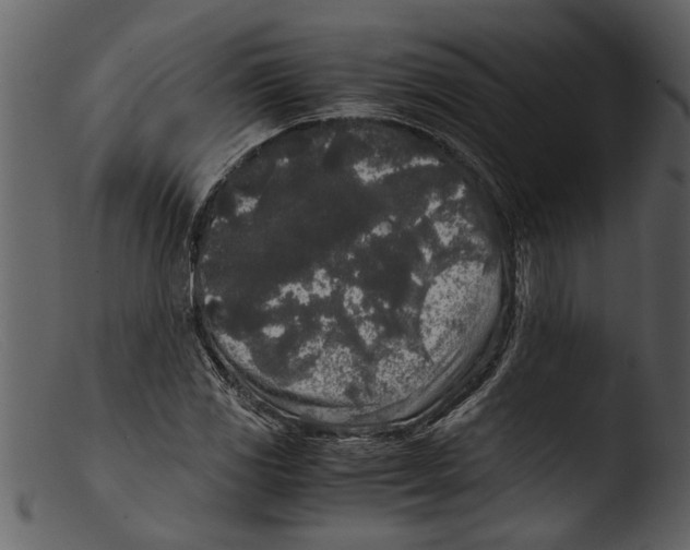 X0000103311117200809261330