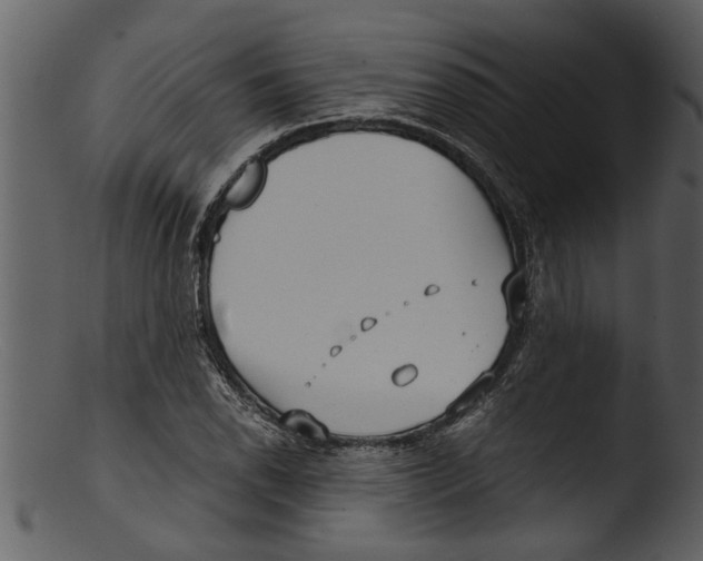 X0000103311118200809261330