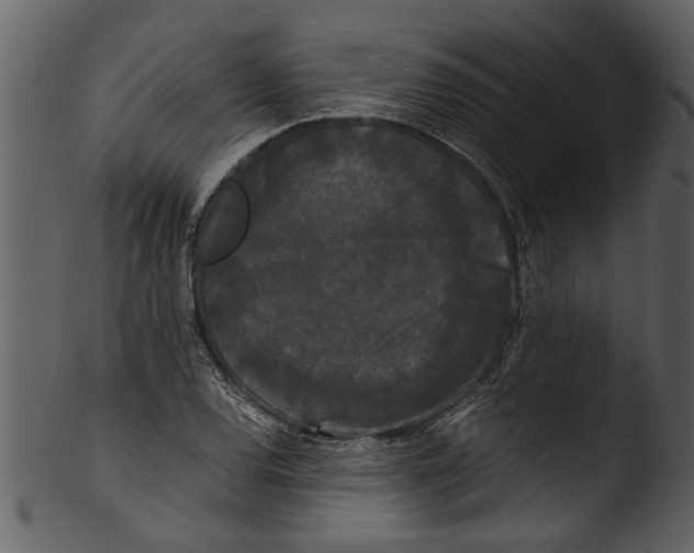 X0000103311120200809261330