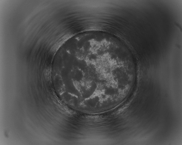 X0000103311121200809261330