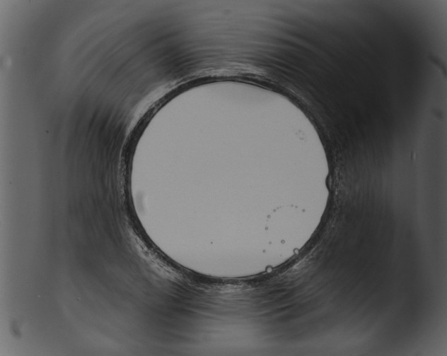 X0000103311122200809261330