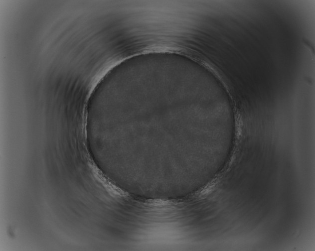 X0000103311124200809261330