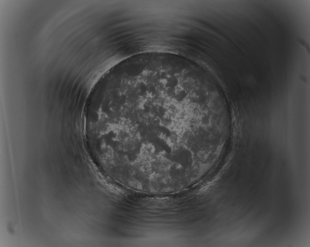 X0000103311125200809261330