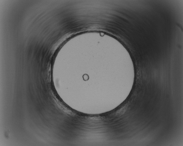 X0000103311126200809261330