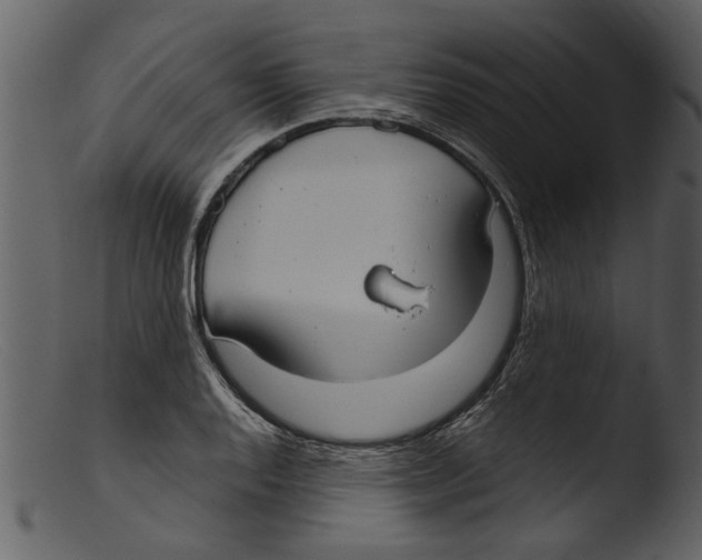 X0000103311128200809261330