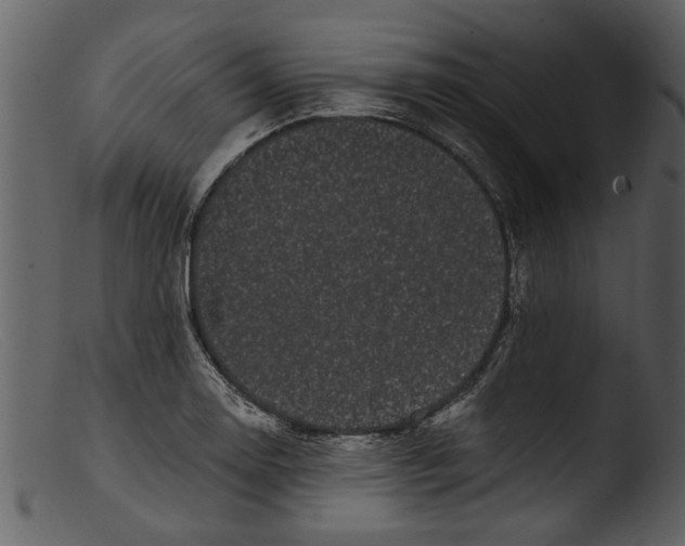 X0000103311130200809261330