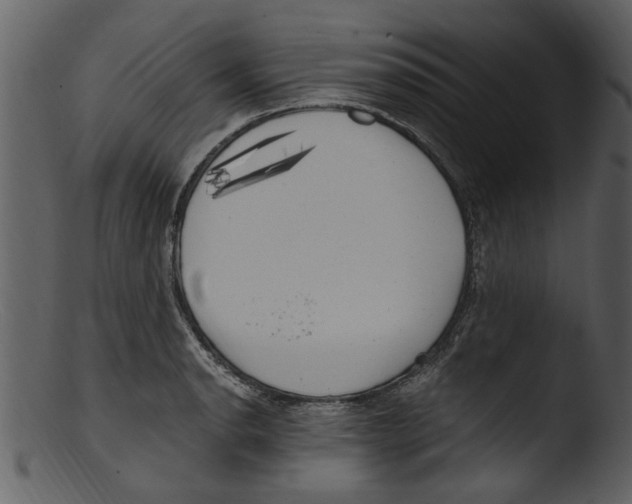 X0000103311134200809261330