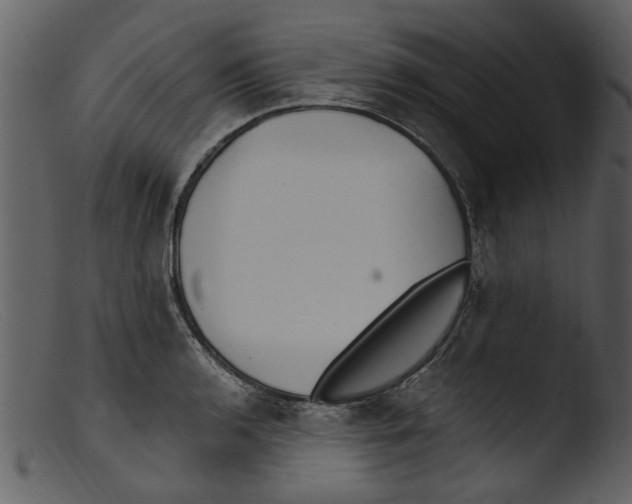 X0000103311136200809261330