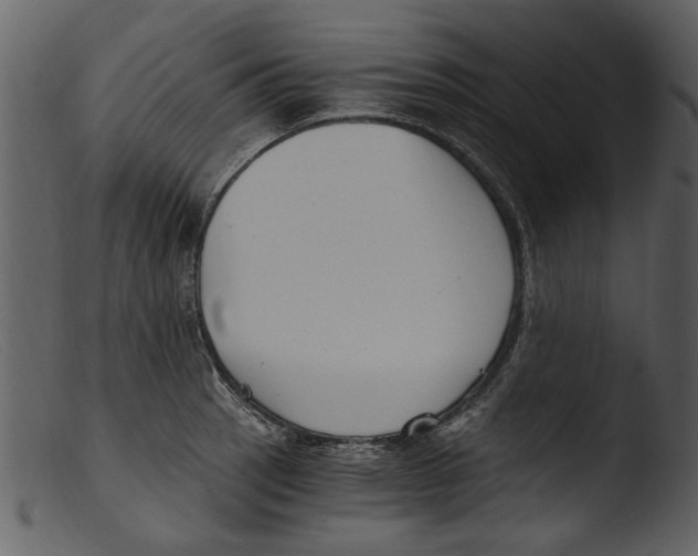 X0000103311137200809261330